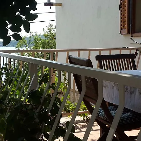 Family Desin * Molunat