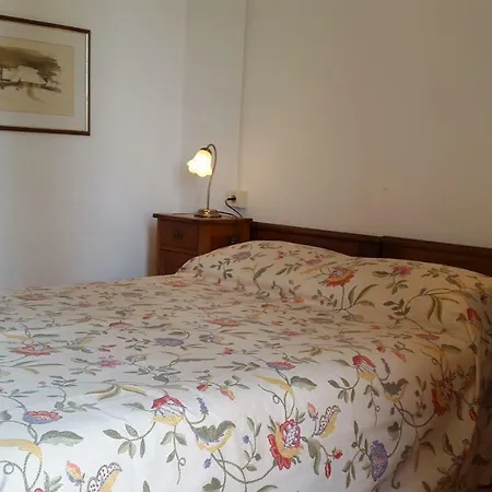 Family Desin מולונאט