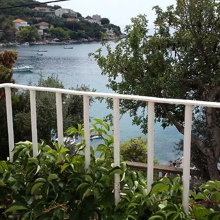 Family Desin * Molunat